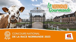 Concours National de la race Normande 2023 – La Normande Gourmande [upl. by Akinot]