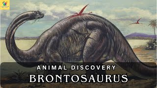 Brontosaurus Shadows of Giants  Unraveling the Mysteries of the Dinosaur World [upl. by Elylrac]