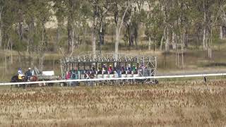 Gayndah 20240608 Race 3 [upl. by Nylla148]