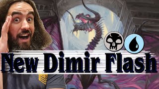 💙 NEW AND BETTER DIMIR FLASH 🖤  DRAGONS GO INTO EVERYTHING [upl. by Gnav777]