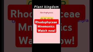 Rhodophyceae mnemonicplantkingdomneet2025 neettamil neetbiology neetchemistryneetphysics [upl. by Enajiram647]