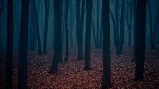 Free Horror Ambiance  Ominous Background Music [upl. by Demb]