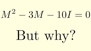 Intuition Behind The Cayley Hamilton Theorem [upl. by Irmo]