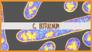 Clostridium Botulinum [upl. by Llewon387]