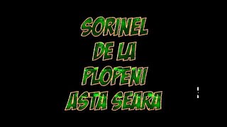 SORINEL DE LA PLOPENI ASTA SEARA [upl. by Eric]