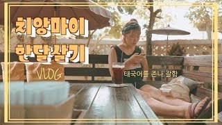 브이로그 핫 하다는 태국 치앙마이에서 한 달동안 살아보았다🇹🇭  여행뽐뿌오짐주의 chiangmai vlog [upl. by Helli]