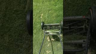 Manual reel mower washboarding  time to upgrade to a gas reel [upl. by Harv687]