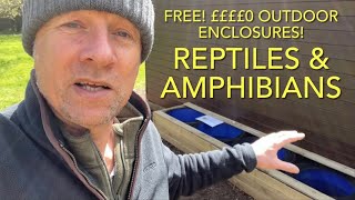 Reptiles amp amphibians how to build outdoor enclosures for free [upl. by Noach]