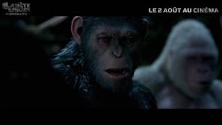 La planète des singes 3  Suprématie  bande annonce officielle 1  VF [upl. by Ahsinirt]