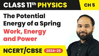 The Potential Energy of a Spring  Work Energy and Power  Class 11 Physics Chapter 5 CBSE 202425 [upl. by Nelo808]