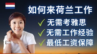 Eng Subs 荷兰  最新工作签证  如何来荷兰工作  Residence permit for essential startup personnel [upl. by Aible]