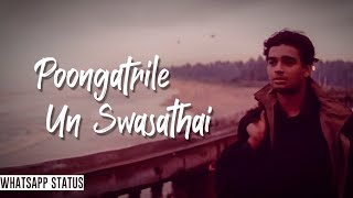 poongaattrile un Swasathai 1080p HD video SongUyireARRahmanunni menonSwarnalatha [upl. by Brotherson]