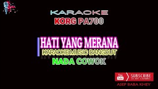 HATI YG MERANA  ELVY SUKAESIH COVER NADA COWOK KARAOKE [upl. by Guerra]