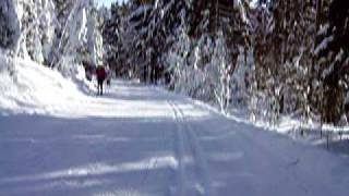 Langlaufen Bayerischer Wald Lalling Skigebiet DeggendorfRuselOberbreitenau [upl. by Saxet]