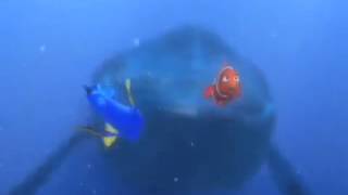 dory whale scene  lowamphigh pitched [upl. by Notlrahc]