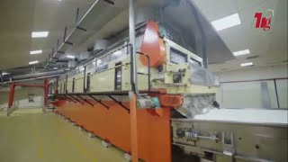 1000 kghour TIGL Full Automatic Desiccated Coconut Powder Full Line desiccatedcoconutpowdermachine [upl. by Glen244]