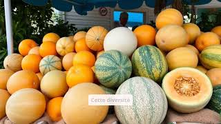 Melon ou Banane Quel est le Meilleur Choix pour lÉté 2024 [upl. by Fabozzi624]