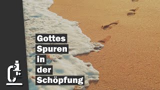 Gottes Spuren in der Schöpfung Eine Kurzdokumentation über Schöpfungsindizien [upl. by Nnayar]