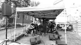 Hound Dog cover The Mad Slap Tones with special guest at Maplewood Porchfest 2024 [upl. by Yetta]