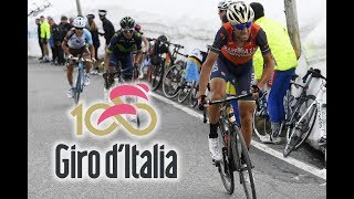 VINCENZO NIBALI I GIRO DITALIA 2017 I ÉTAPE 16 [upl. by Teria]