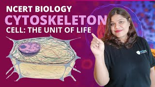 Cytoskeleton structure and function  Cell  Class 11  Biology [upl. by Haorbed]