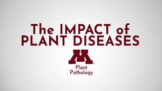 The Impact of Plant Diseases [upl. by Samuele]