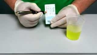 How to Use THC Urine Test Kit Home Drug Test Instructions amp Tips [upl. by Bashee]