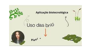 vídeo sobre a importância econômica e ecológica das Briófitas e Pteridófitas [upl. by Auberbach]