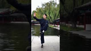 Tai Chi as still as still water丨EP501 [upl. by Treharne]