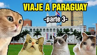 VIAJE A PARAGUAY parte 3 meme de gatos [upl. by Ofilia]