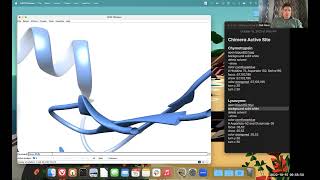 Active Site of a Protein Enzyme with the Command Line in UCSF Chimera [upl. by Itagaki]