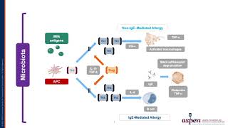 Current Understandings of Food Allergy [upl. by Baudelaire858]