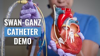 Swan Ganz Catheter Nursing nursingskills [upl. by Huggins]