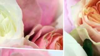 Spring Wedding Flowers by London Flower Stylists at Todich Floral Design [upl. by Ahsenet]