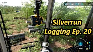 Logging is Paying Off in Farming Simulator 22 on Silverrun Ep 20 [upl. by Rehportsirhc]