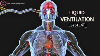 Liquid Ventilation System Animation Video [upl. by Gassman334]