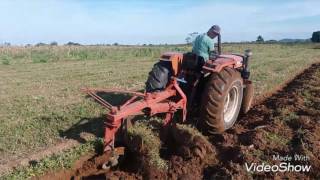 Trator Agrale 4200 lavrando com arado vira chapa de 2 bacias abertas [upl. by Adnilre]