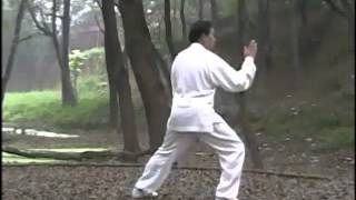 Master ZHU Tian Cai performs CHEN SHI Lao Jia Yi Lu  ChenVillage  Part 1 [upl. by Calli]