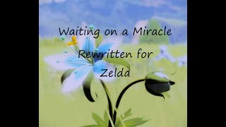 Waiting on a Miracle Zelda Coverrewritten [upl. by Yssac]