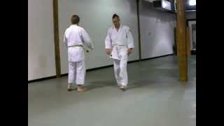 Hakko Denshin Ryu Basic Waza Ushiro Zeme Otoshi [upl. by Anuayek]