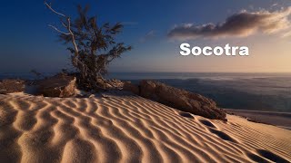 Socotra island [upl. by Cartwell]