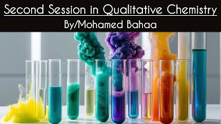 Second Session in Qualitative Analysis [upl. by Eissalc656]