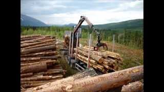 Volvo FH 660 Timber loading [upl. by Booker]