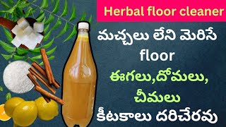 herbal floor cleaner making at homeదీనితో floor క్లీన్ చేస్తే ఇంట్లోకి ఈగలు దోమలుచీమలు దరిచేరవు [upl. by Zinah]