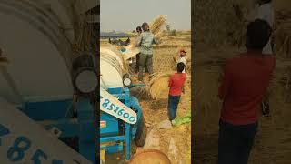 Farming Life 🌾✌️ farming upmechhinegiyogikikursi kirshi farminglife farmingvideo desi vilog [upl. by Durware]