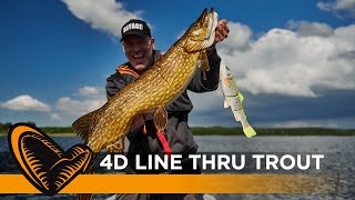 4D Line Thru Trout  Big bait big fish [upl. by Stilu]