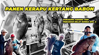 EDAN PANEN BABONBABON KERAPU KERTANG DI SMR LAMPUNG  Duraking Fishing Trip Selat Sunda Eps 2 [upl. by Frolick]