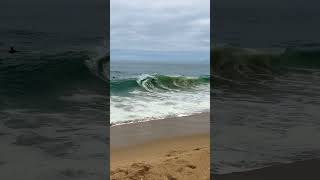 Skimboarders at The Wedge [upl. by Meave191]