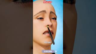 Naak ka मैल । Mucus । Ho sakta h दर्द नाक। 3D view lifecaremedicine [upl. by Aissej76]