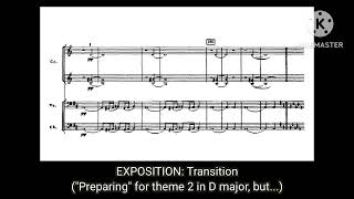 Tchaikovsky  Romeo and Juliet Fantasy Overture ANALYSIS  SONATA FORM [upl. by Amalee]